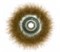 Чашечная щетка 100 мм Makita D-39805 19425 - фото 19487